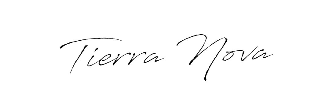 You can use this online signature creator to create a handwritten signature for the name Tierra Nova. This is the best online autograph maker. Tierra Nova signature style 6 images and pictures png