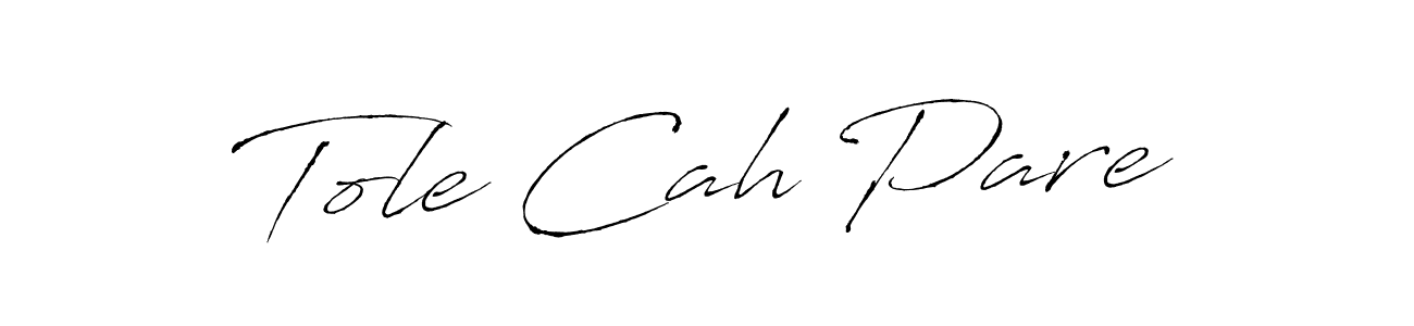 Also we have Tole Cah Pare name is the best signature style. Create professional handwritten signature collection using Antro_Vectra autograph style. Tole Cah Pare signature style 6 images and pictures png