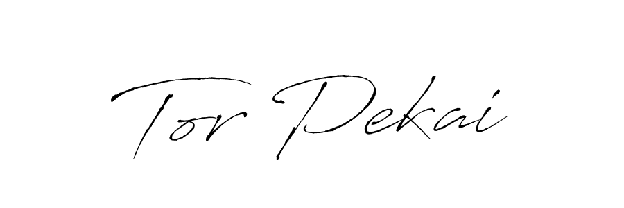 Also You can easily find your signature by using the search form. We will create Tor Pekai name handwritten signature images for you free of cost using Antro_Vectra sign style. Tor Pekai signature style 6 images and pictures png