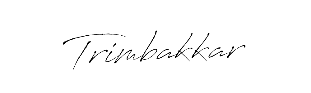 See photos of Trimbakkar official signature by Spectra . Check more albums & portfolios. Read reviews & check more about Antro_Vectra font. Trimbakkar signature style 6 images and pictures png