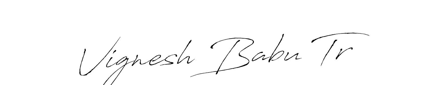 Make a beautiful signature design for name Vignesh Babu Tr. Use this online signature maker to create a handwritten signature for free. Vignesh Babu Tr signature style 6 images and pictures png