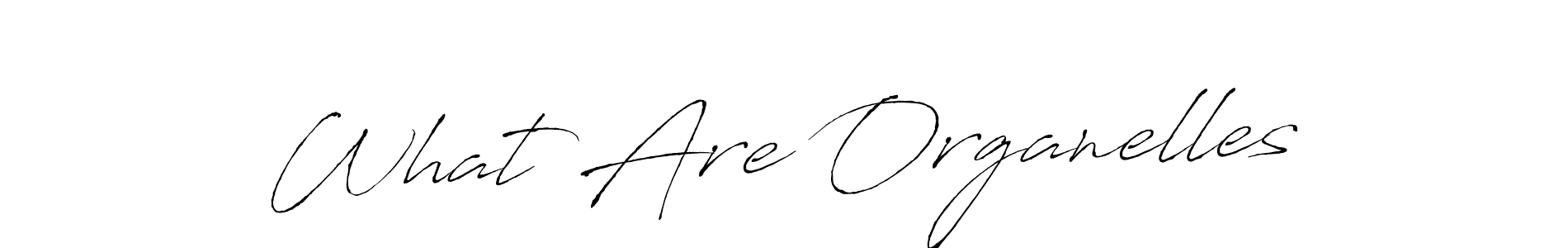 if you are searching for the best signature style for your name What Are Organelles. so please give up your signature search. here we have designed multiple signature styles  using Antro_Vectra. What Are Organelles signature style 6 images and pictures png