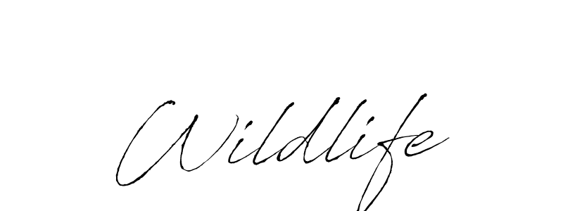 Also we have Wildlife name is the best signature style. Create professional handwritten signature collection using Antro_Vectra autograph style. Wildlife signature style 6 images and pictures png