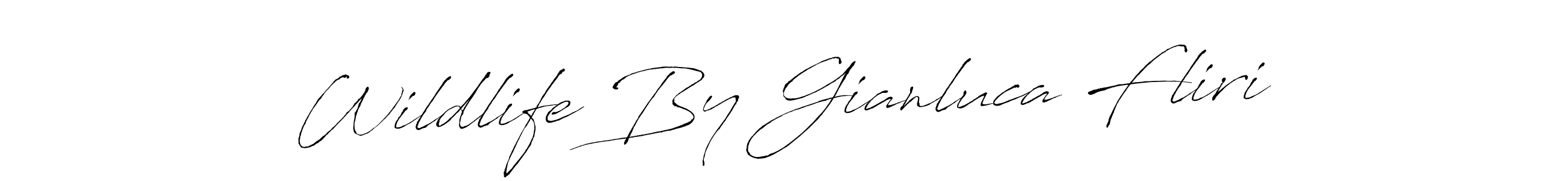 Check out images of Autograph of Wildlife By Gianluca Fliri name. Actor Wildlife By Gianluca Fliri Signature Style. Antro_Vectra is a professional sign style online. Wildlife By Gianluca Fliri signature style 6 images and pictures png