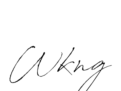 Make a beautiful signature design for name Wkng. Use this online signature maker to create a handwritten signature for free. Wkng signature style 6 images and pictures png