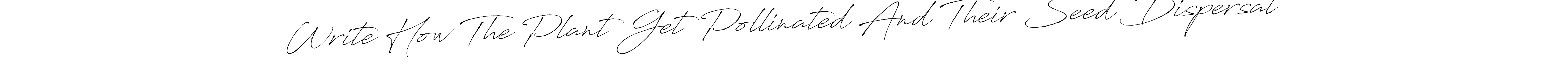 How to make Write How The Plant Get Pollinated And Their Seed Dispersal name signature. Use Antro_Vectra style for creating short signs online. This is the latest handwritten sign. Write How The Plant Get Pollinated And Their Seed Dispersal signature style 6 images and pictures png