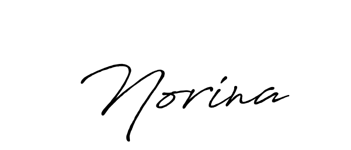 Make a beautiful signature design for name  Norina. Use this online signature maker to create a handwritten signature for free.  Norina signature style 7 images and pictures png