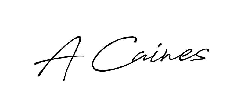 A Caines stylish signature style. Best Handwritten Sign (Antro_Vectra_Bolder) for my name. Handwritten Signature Collection Ideas for my name A Caines. A Caines signature style 7 images and pictures png