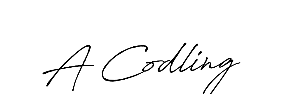 You should practise on your own different ways (Antro_Vectra_Bolder) to write your name (A Codling) in signature. don't let someone else do it for you. A Codling signature style 7 images and pictures png