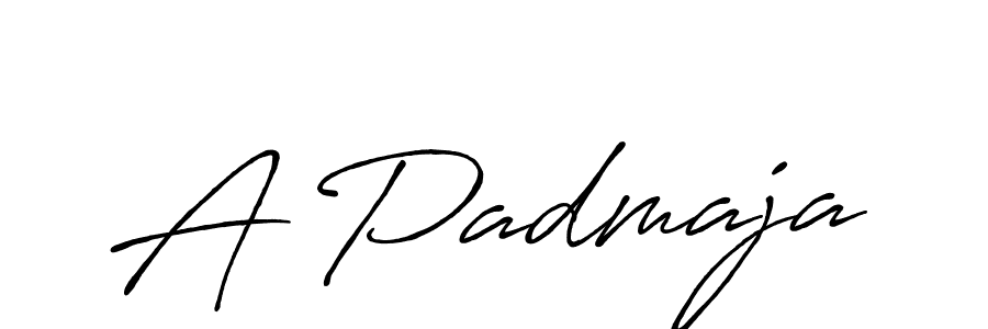 How to make A Padmaja name signature. Use Antro_Vectra_Bolder style for creating short signs online. This is the latest handwritten sign. A Padmaja signature style 7 images and pictures png