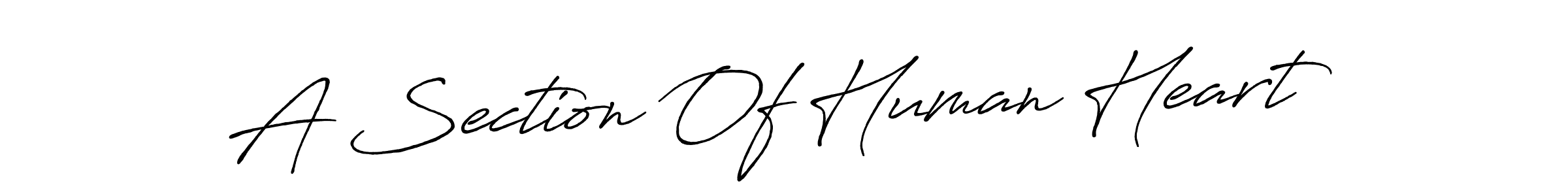 Create a beautiful signature design for name A Section Of Human Heart. With this signature (Antro_Vectra_Bolder) fonts, you can make a handwritten signature for free. A Section Of Human Heart signature style 7 images and pictures png