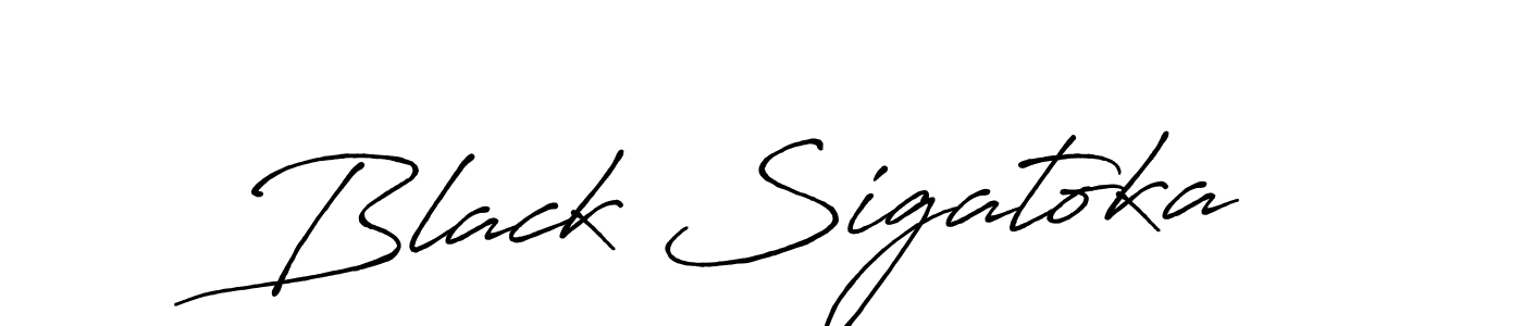 You should practise on your own different ways (Antro_Vectra_Bolder) to write your name (Black Sigatoka) in signature. don't let someone else do it for you. Black Sigatoka signature style 7 images and pictures png
