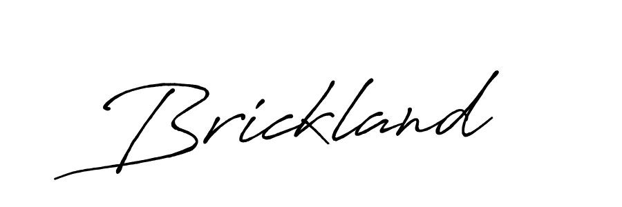 You should practise on your own different ways (Antro_Vectra_Bolder) to write your name (Brickland) in signature. don't let someone else do it for you. Brickland signature style 7 images and pictures png
