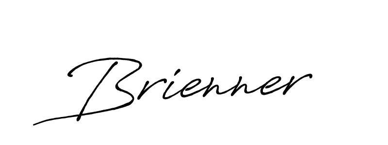 Here are the top 10 professional signature styles for the name Brienner. These are the best autograph styles you can use for your name. Brienner signature style 7 images and pictures png