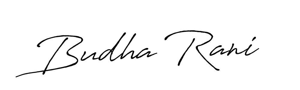 You should practise on your own different ways (Antro_Vectra_Bolder) to write your name (Budha Rani) in signature. don't let someone else do it for you. Budha Rani signature style 7 images and pictures png