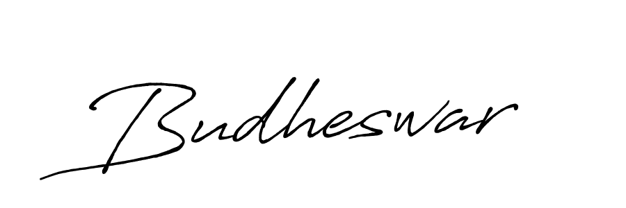 Make a beautiful signature design for name Budheswar. Use this online signature maker to create a handwritten signature for free. Budheswar signature style 7 images and pictures png