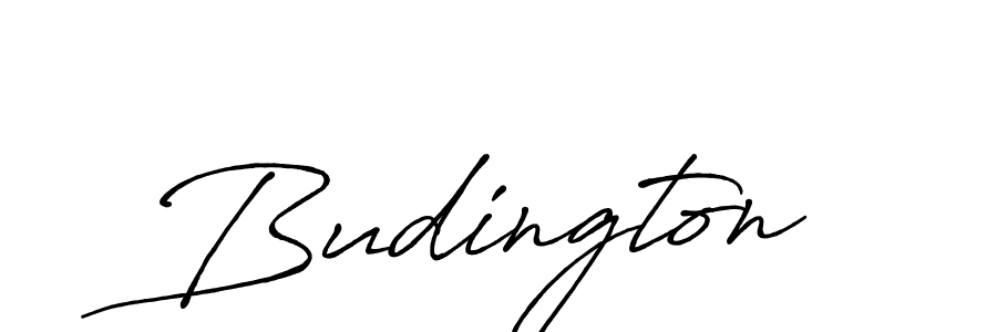 Best and Professional Signature Style for Budington. Antro_Vectra_Bolder Best Signature Style Collection. Budington signature style 7 images and pictures png