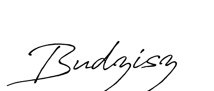 Design your own signature with our free online signature maker. With this signature software, you can create a handwritten (Antro_Vectra_Bolder) signature for name Budzisz. Budzisz signature style 7 images and pictures png