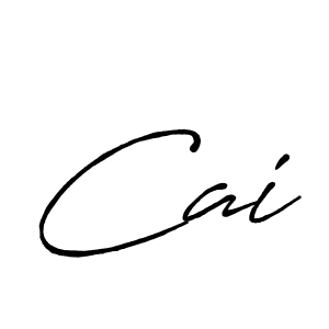You should practise on your own different ways (Antro_Vectra_Bolder) to write your name (Cai) in signature. don't let someone else do it for you. Cai signature style 7 images and pictures png