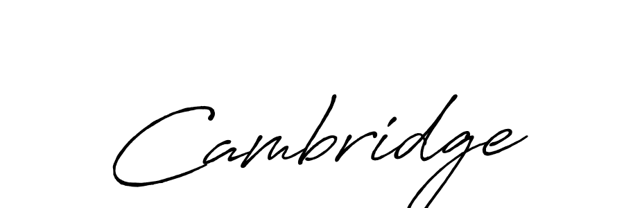 Cambridge stylish signature style. Best Handwritten Sign (Antro_Vectra_Bolder) for my name. Handwritten Signature Collection Ideas for my name Cambridge. Cambridge signature style 7 images and pictures png