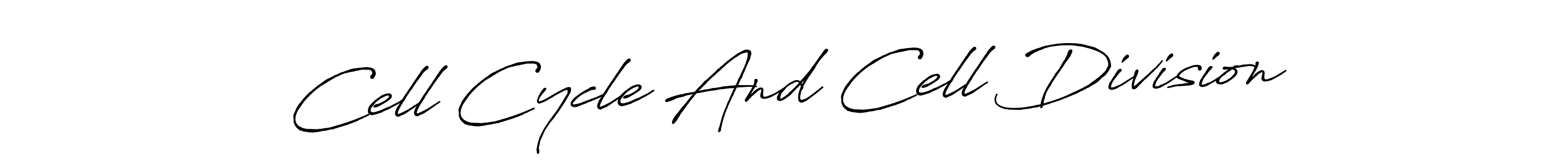 Cell Cycle And Cell Division stylish signature style. Best Handwritten Sign (Antro_Vectra_Bolder) for my name. Handwritten Signature Collection Ideas for my name Cell Cycle And Cell Division. Cell Cycle And Cell Division signature style 7 images and pictures png