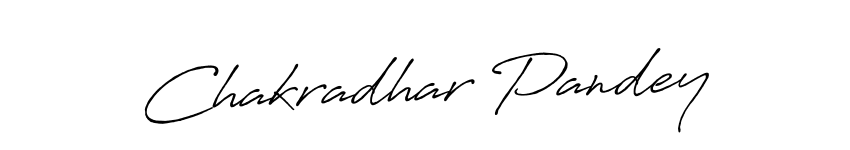Design your own signature with our free online signature maker. With this signature software, you can create a handwritten (Antro_Vectra_Bolder) signature for name Chakradhar Pandey. Chakradhar Pandey signature style 7 images and pictures png