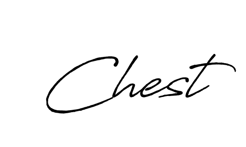 You should practise on your own different ways (Antro_Vectra_Bolder) to write your name (Chest) in signature. don't let someone else do it for you. Chest signature style 7 images and pictures png