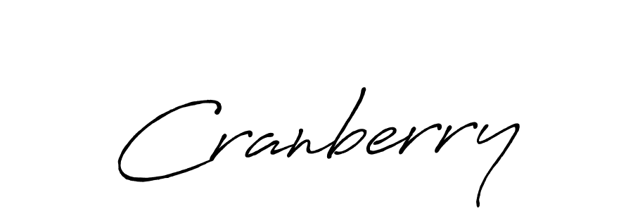 Best and Professional Signature Style for Cranberry. Antro_Vectra_Bolder Best Signature Style Collection. Cranberry signature style 7 images and pictures png