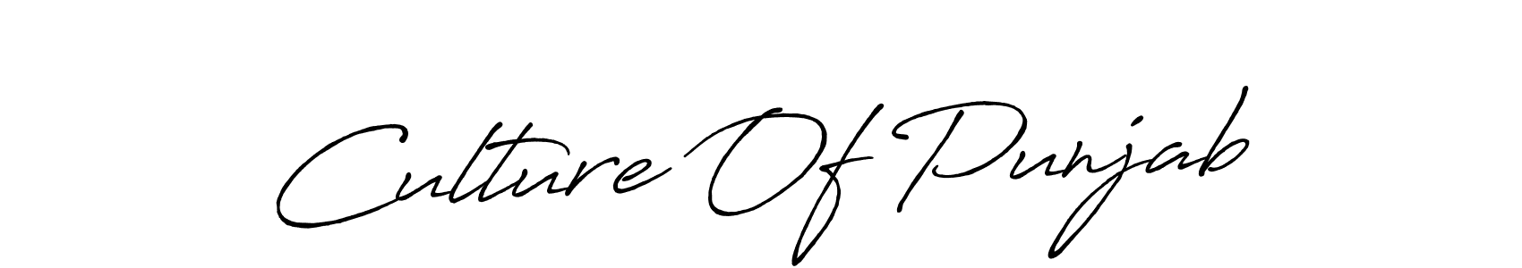 Make a beautiful signature design for name Culture Of Punjab. Use this online signature maker to create a handwritten signature for free. Culture Of Punjab signature style 7 images and pictures png