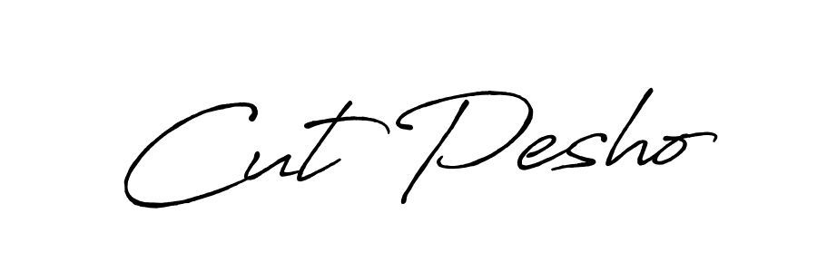 You should practise on your own different ways (Antro_Vectra_Bolder) to write your name (Cut Pesho) in signature. don't let someone else do it for you. Cut Pesho signature style 7 images and pictures png