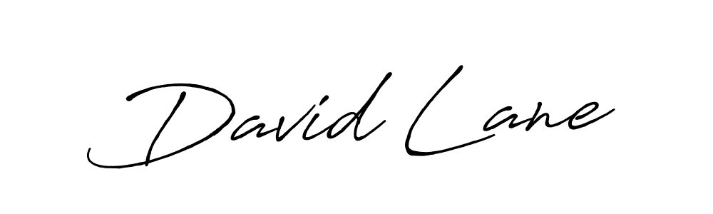 You can use this online signature creator to create a handwritten signature for the name David Lane. This is the best online autograph maker. David Lane signature style 7 images and pictures png