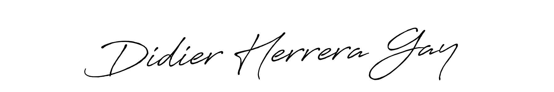 Create a beautiful signature design for name Didier Herrera Gay. With this signature (Antro_Vectra_Bolder) fonts, you can make a handwritten signature for free. Didier Herrera Gay signature style 7 images and pictures png