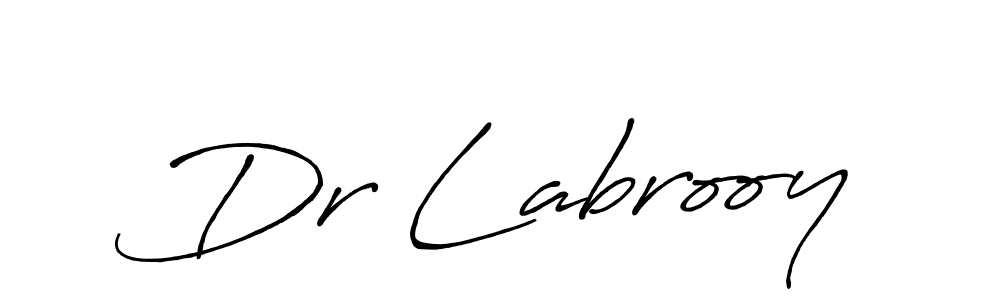 Make a beautiful signature design for name Dr Labrooy. Use this online signature maker to create a handwritten signature for free. Dr Labrooy signature style 7 images and pictures png