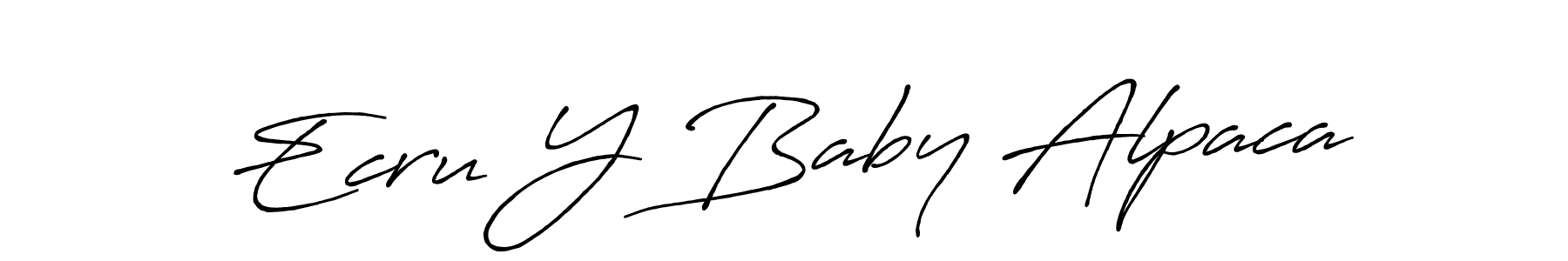 Ecru Y Baby Alpaca stylish signature style. Best Handwritten Sign (Antro_Vectra_Bolder) for my name. Handwritten Signature Collection Ideas for my name Ecru Y Baby Alpaca. Ecru Y Baby Alpaca signature style 7 images and pictures png