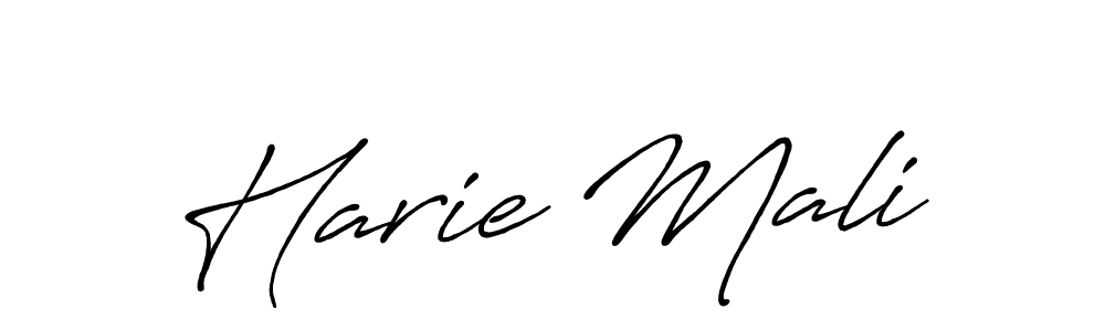 You should practise on your own different ways (Antro_Vectra_Bolder) to write your name (Harie Mali) in signature. don't let someone else do it for you. Harie Mali signature style 7 images and pictures png