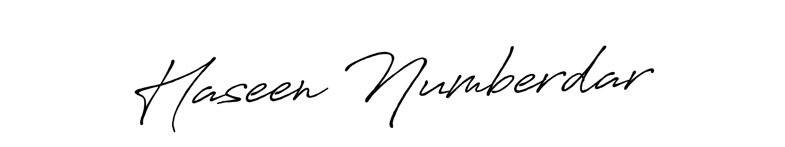 Make a beautiful signature design for name Haseen Numberdar. Use this online signature maker to create a handwritten signature for free. Haseen Numberdar signature style 7 images and pictures png