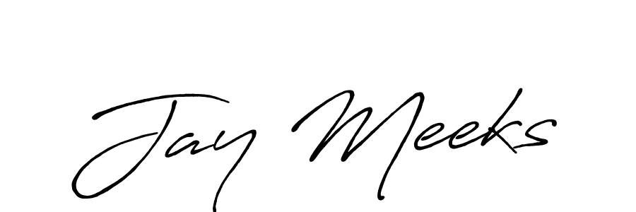 You should practise on your own different ways (Antro_Vectra_Bolder) to write your name (Jay Meeks) in signature. don't let someone else do it for you. Jay Meeks signature style 7 images and pictures png