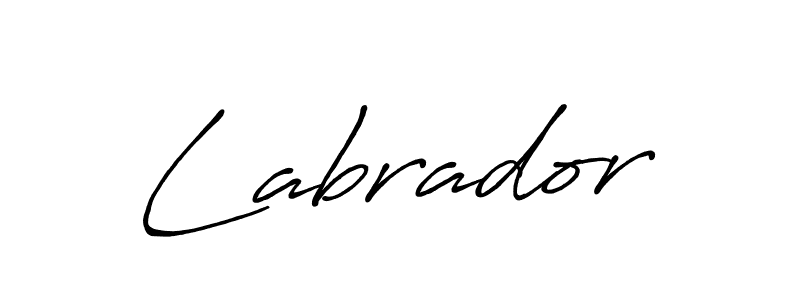 Make a beautiful signature design for name Labrador. Use this online signature maker to create a handwritten signature for free. Labrador signature style 7 images and pictures png