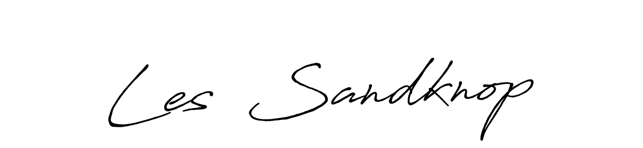 The best way (Antro_Vectra_Bolder) to make a short signature is to pick only two or three words in your name. The name Les  Sandknop include a total of six letters. For converting this name. Les  Sandknop signature style 7 images and pictures png