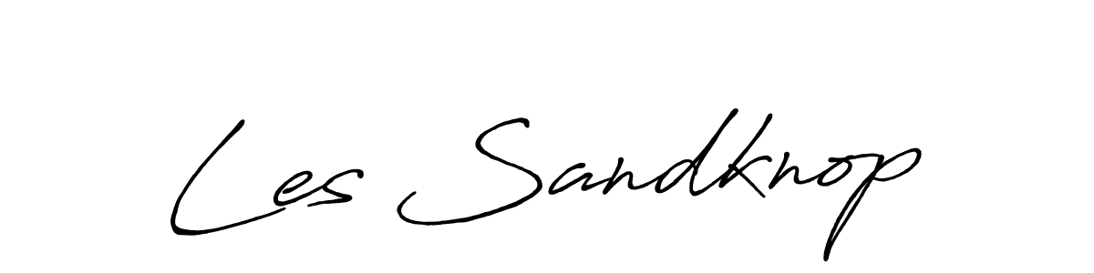 You should practise on your own different ways (Antro_Vectra_Bolder) to write your name (Les Sandknop) in signature. don't let someone else do it for you. Les Sandknop signature style 7 images and pictures png