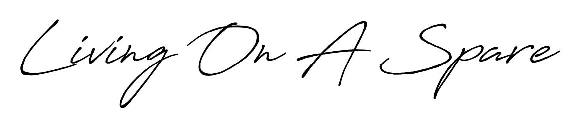 A dynamic signature style for Living On A Spare using Antro_Vectra_Bolder script. Designed to look authentic, handwritten, and professional. Living On A Spare signature style 7 images and pictures png