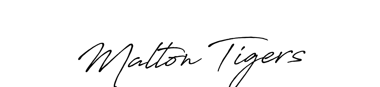 See photos of Malton Tigers official signature by Spectra . Check more albums & portfolios. Read reviews & check more about Antro_Vectra_Bolder font. Malton Tigers signature style 7 images and pictures png