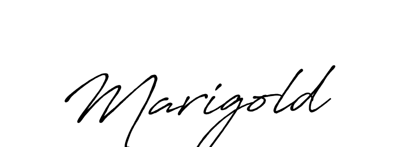 See photos of Marigold official signature by Spectra . Check more albums & portfolios. Read reviews & check more about Antro_Vectra_Bolder font. Marigold signature style 7 images and pictures png