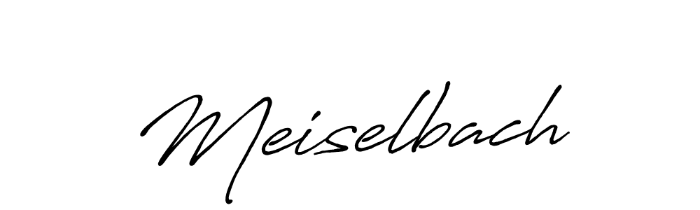 You should practise on your own different ways (Antro_Vectra_Bolder) to write your name (Meiselbach) in signature. don't let someone else do it for you. Meiselbach signature style 7 images and pictures png