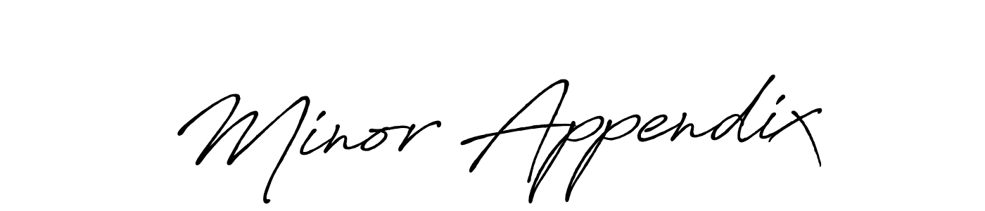 You can use this online signature creator to create a handwritten signature for the name Minor Appendix. This is the best online autograph maker. Minor Appendix signature style 7 images and pictures png