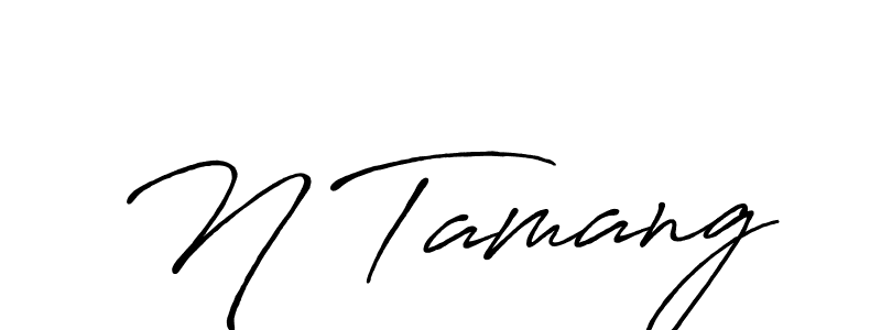 You can use this online signature creator to create a handwritten signature for the name N Tamang. This is the best online autograph maker. N Tamang signature style 7 images and pictures png