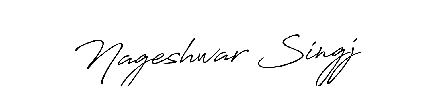 Here are the top 10 professional signature styles for the name Nageshwar Singj. These are the best autograph styles you can use for your name. Nageshwar Singj signature style 7 images and pictures png