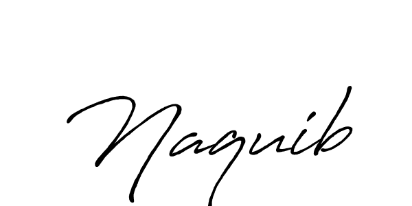 Make a beautiful signature design for name Naquib. Use this online signature maker to create a handwritten signature for free. Naquib signature style 7 images and pictures png