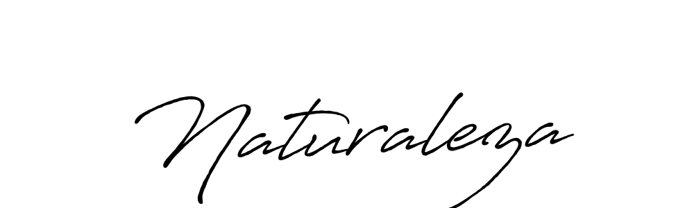 Similarly Antro_Vectra_Bolder is the best handwritten signature design. Signature creator online .You can use it as an online autograph creator for name Naturaleza. Naturaleza signature style 7 images and pictures png