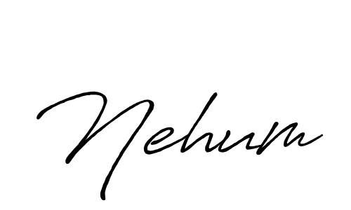 Here are the top 10 professional signature styles for the name Nehum. These are the best autograph styles you can use for your name. Nehum signature style 7 images and pictures png